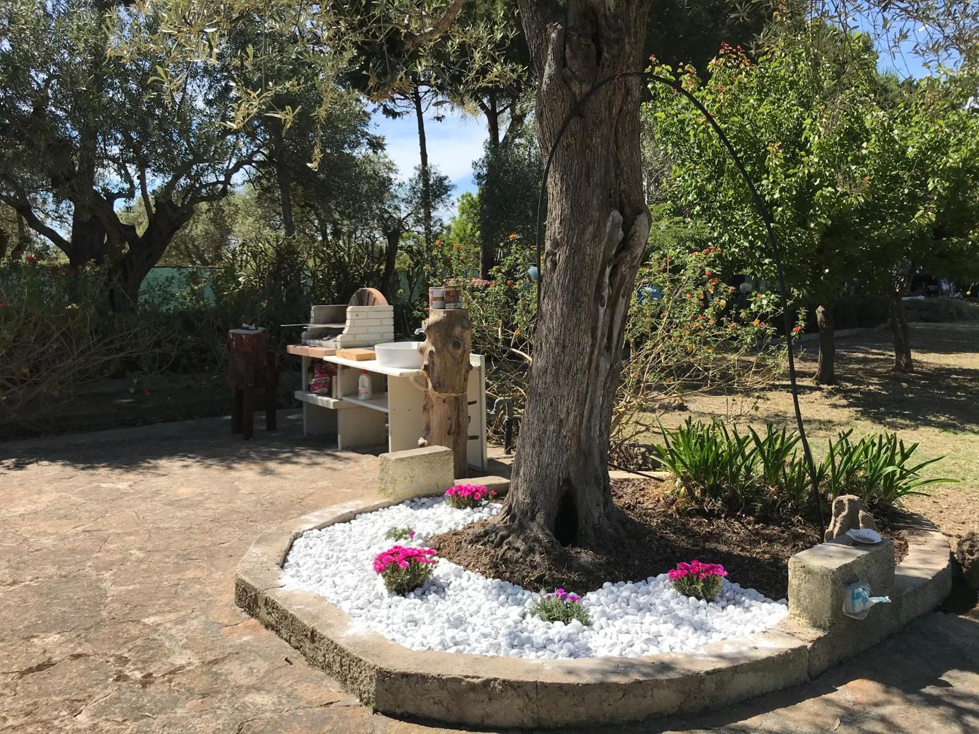 Butterfly House Bed & Breakfast *