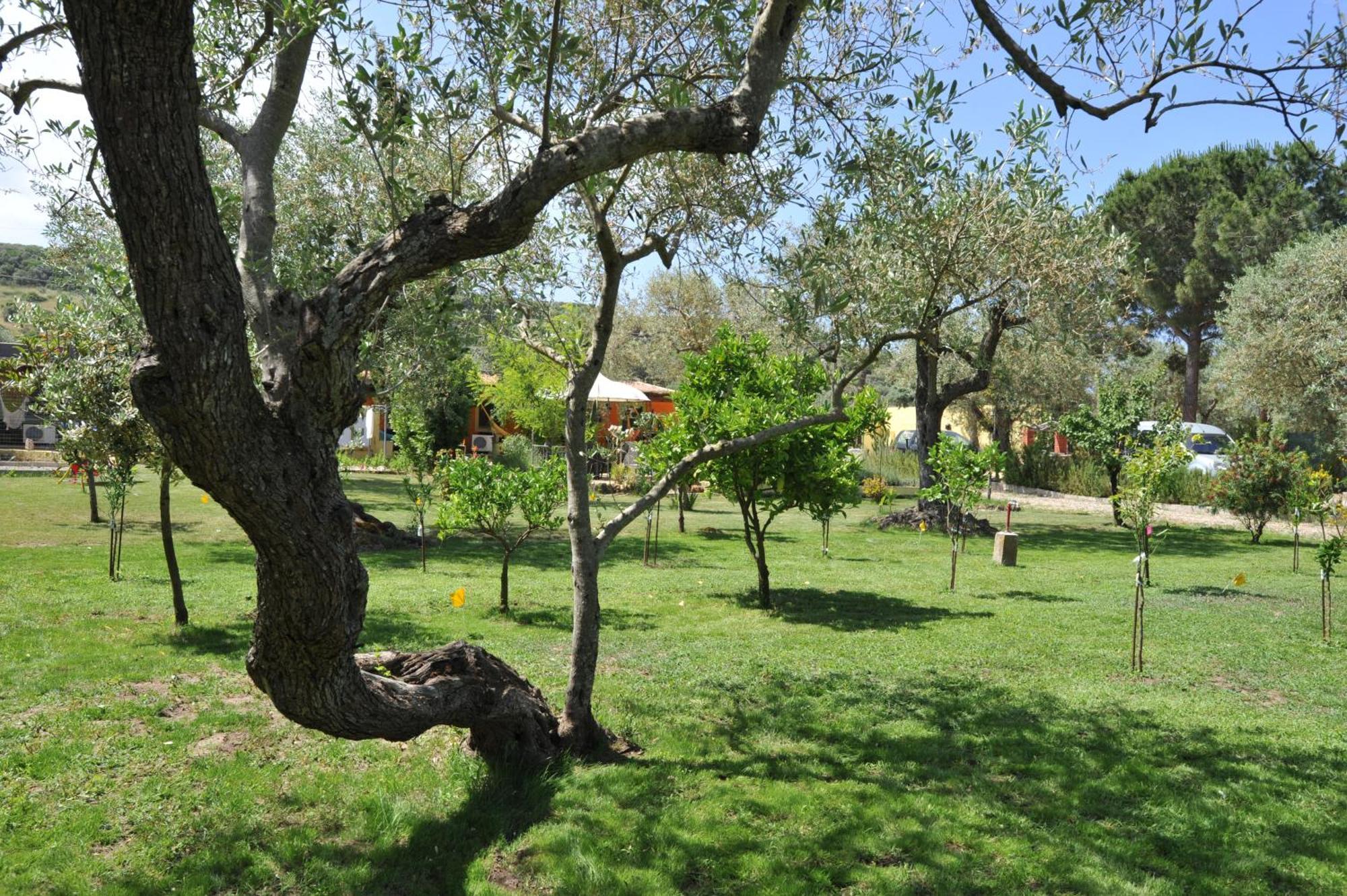 Butterfly House Alghero