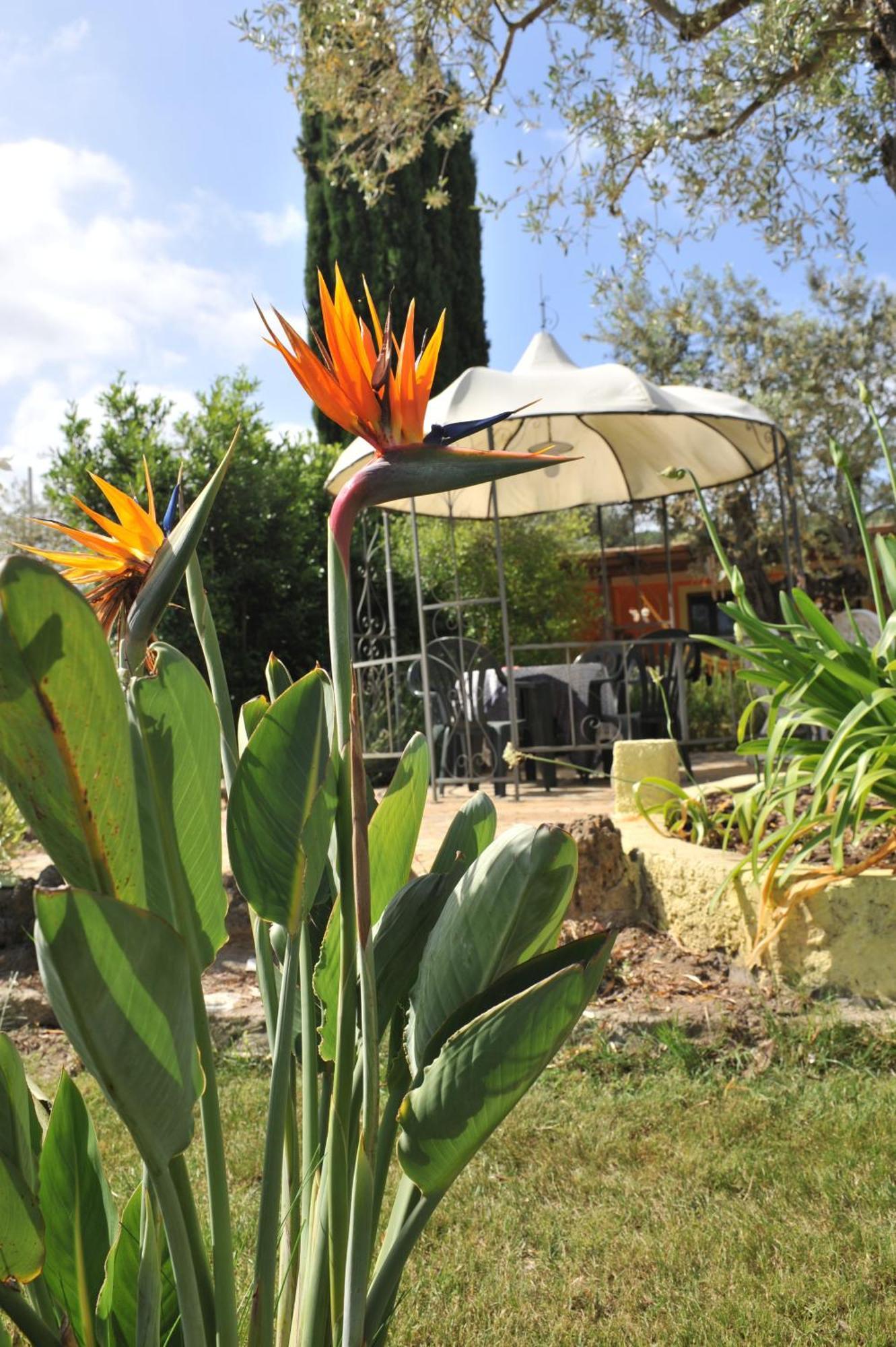 Butterfly House Alghero